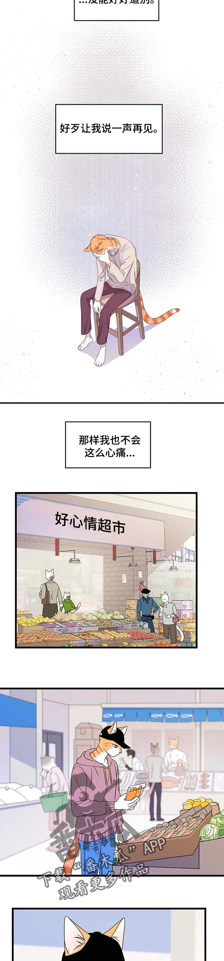 第26章：心痛6