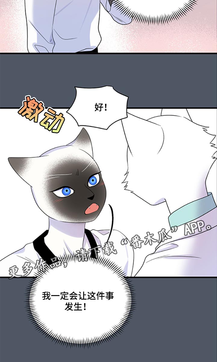 第77章：【第二季】一定要在一起！20