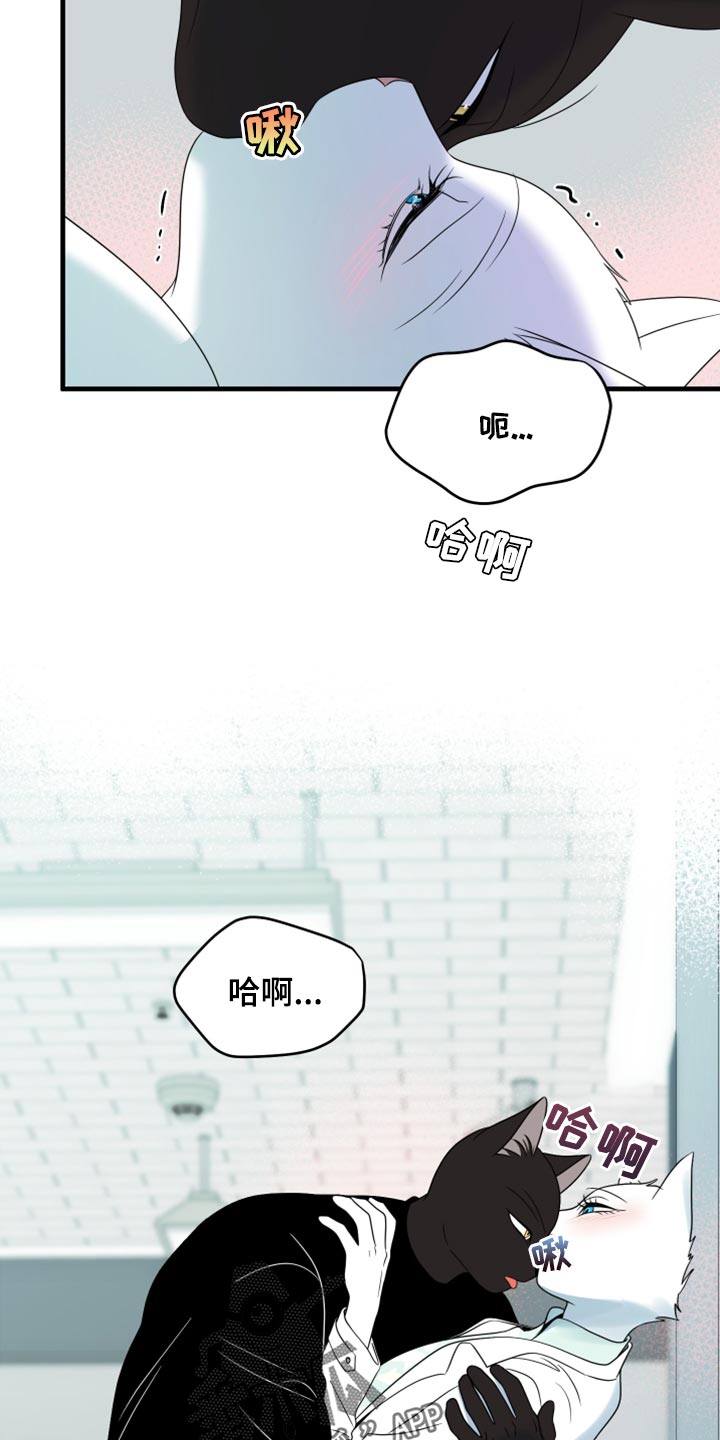 第58章：【第二季】总有一天会回来12