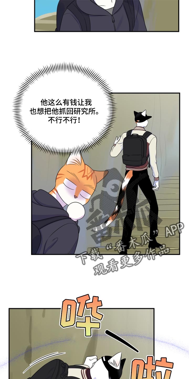 第60章：【第二季】失去理智14