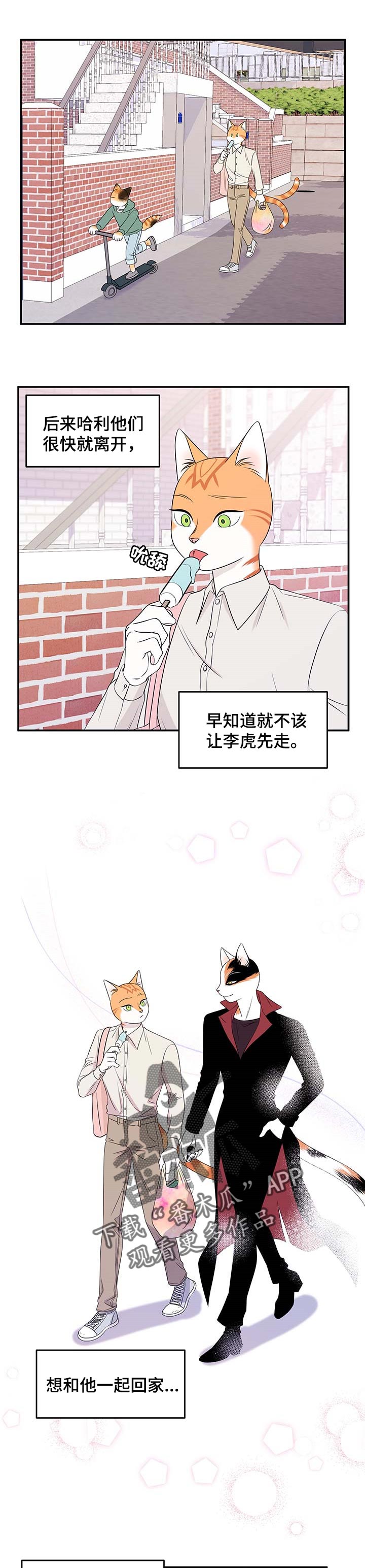 第25章：珍贵3