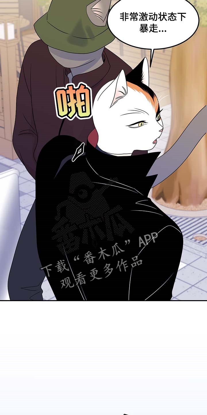 第48章：你慢慢考虑19