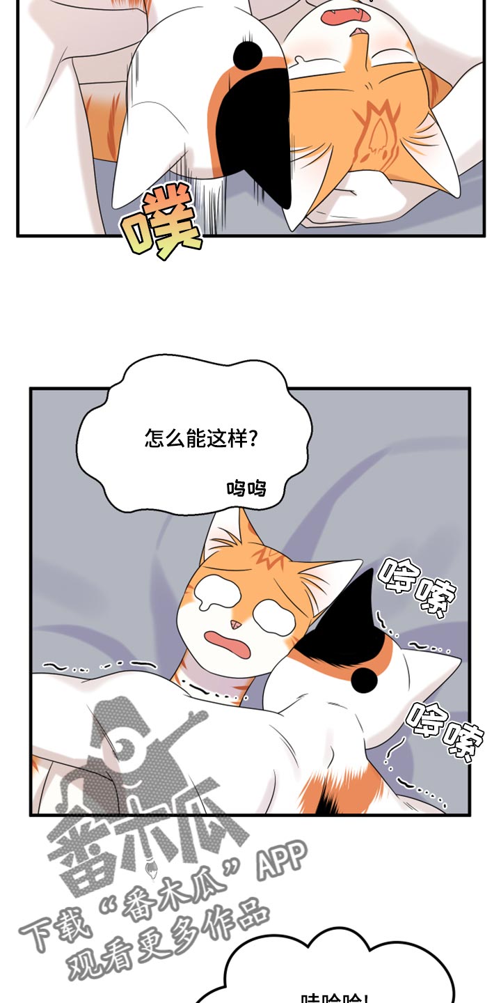 第91章：【第二季】暴走之前20