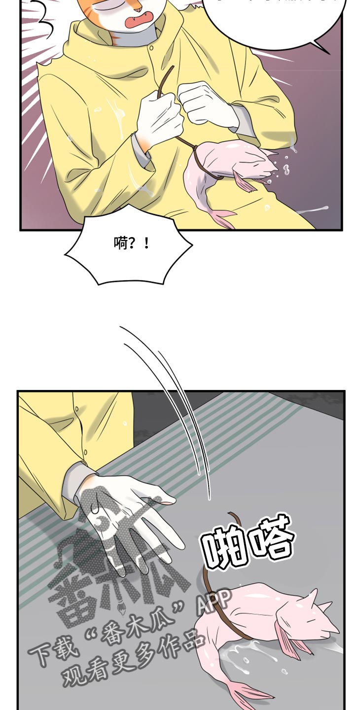 第88章：【第二季】台风24