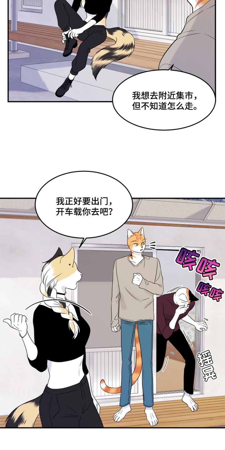 第54章：【第二季】你要丢下我?16