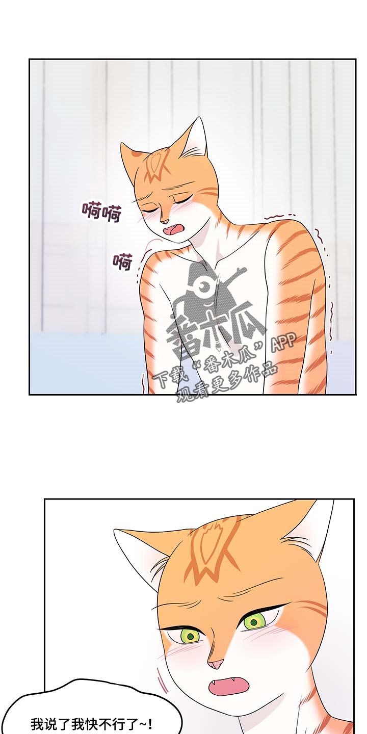 第47章：好好看着你0