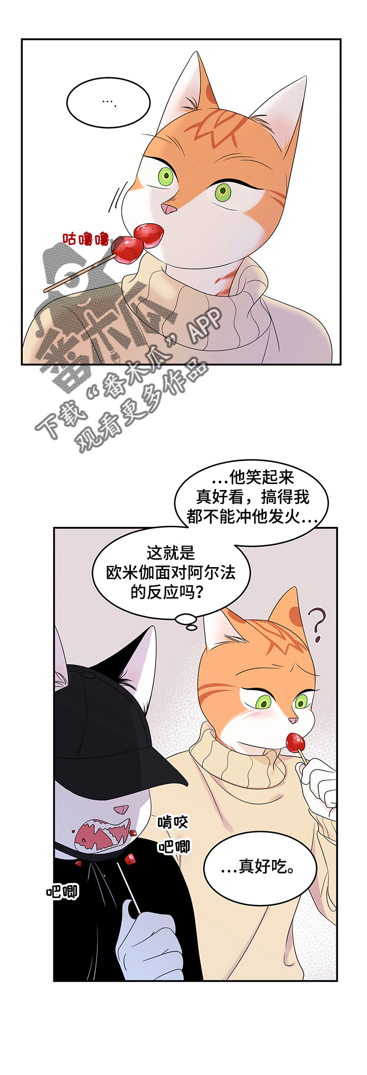 第9章：集市6
