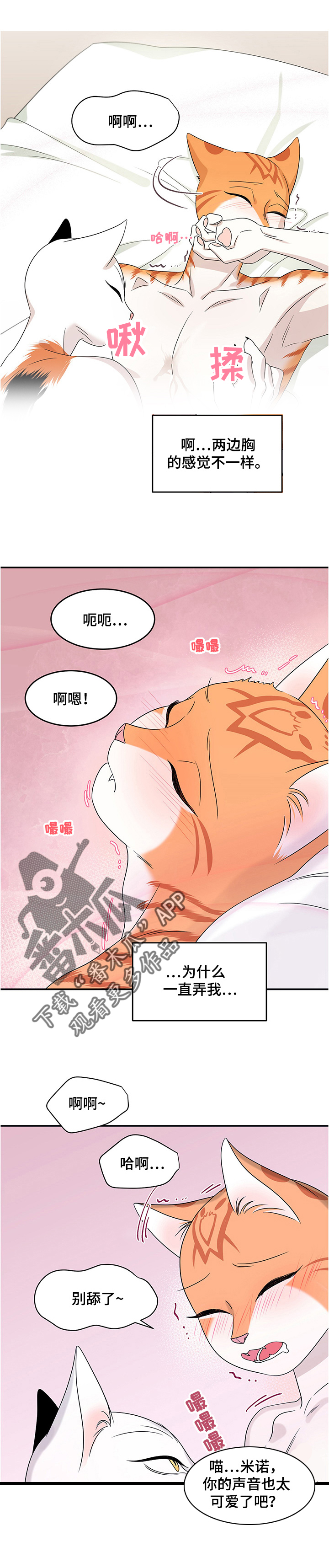 第12章：义务3