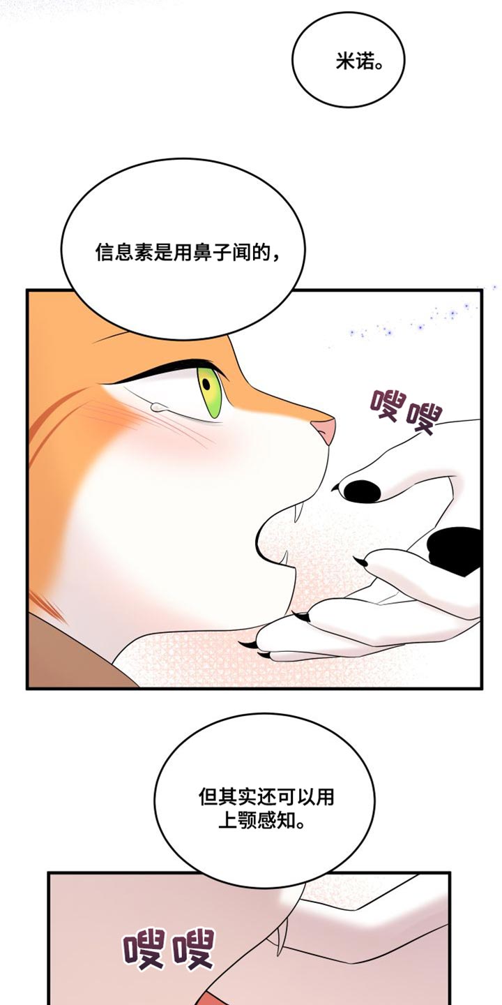 第104章：【第二季】更重要的事10