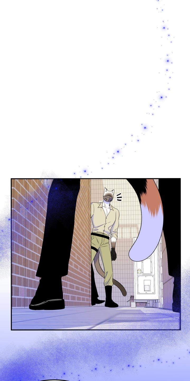 第49章：让我保护你33