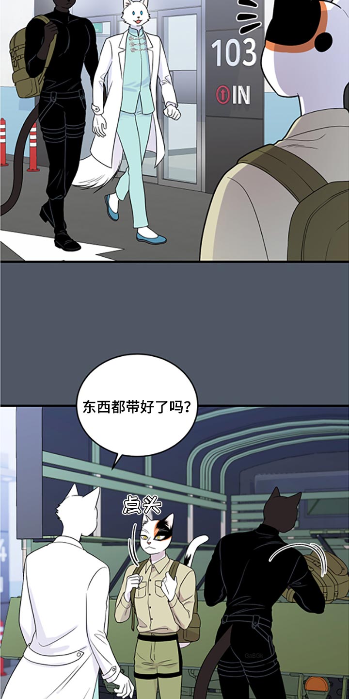 第79章：【第二季】傻瓜1