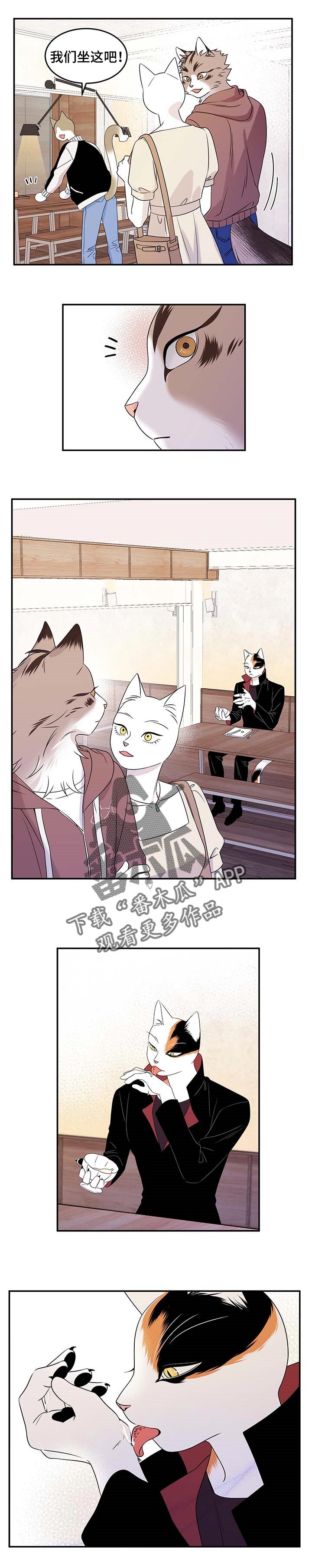 第23章：担心3