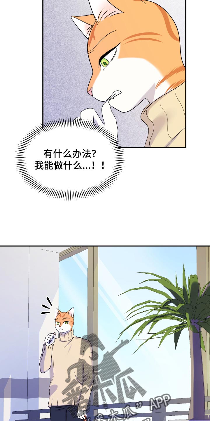 第50章：恶斗14