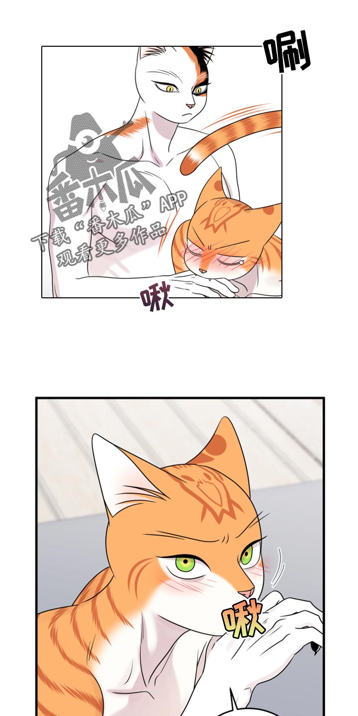 第91章：【第二季】暴走之前12