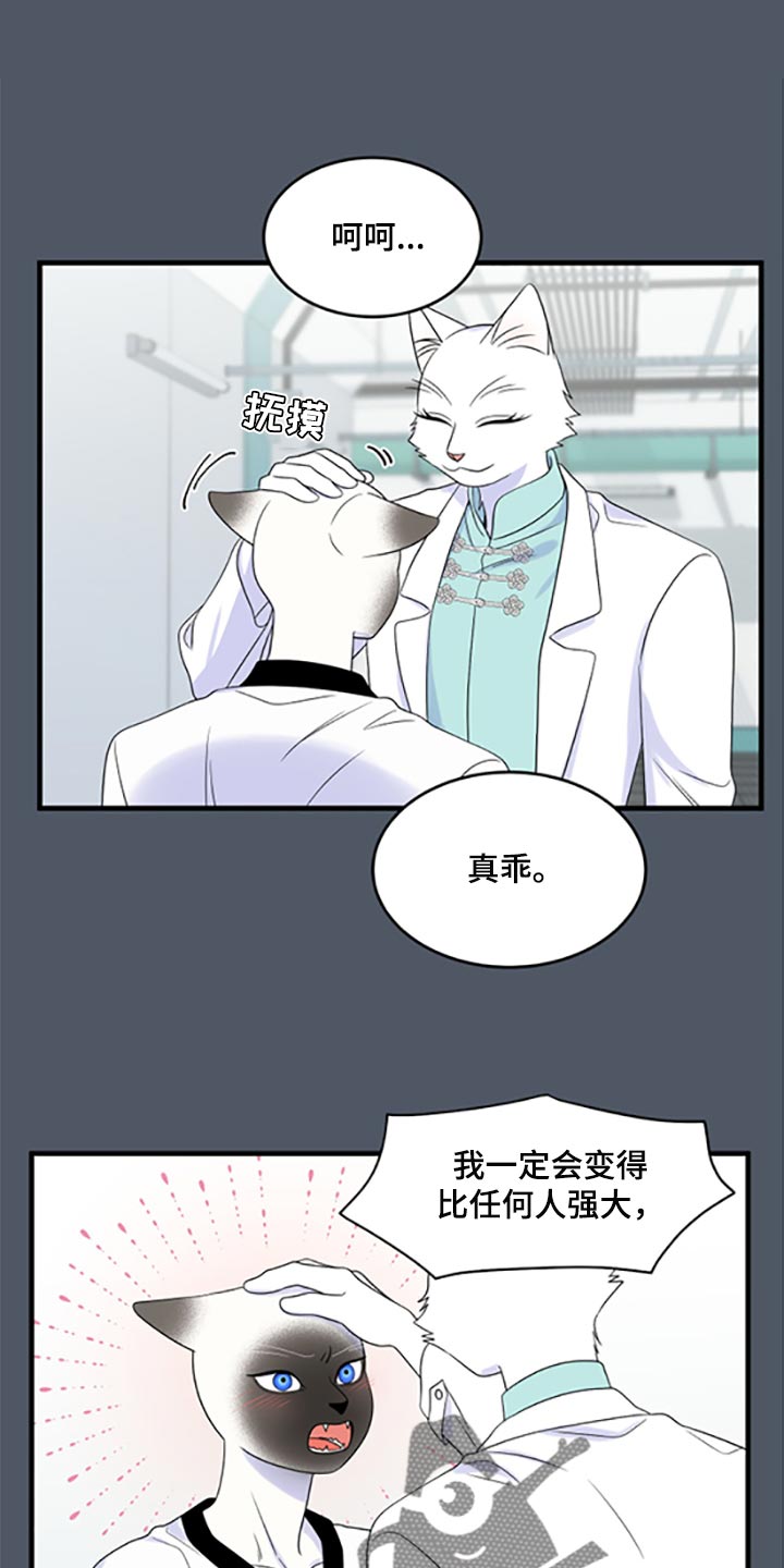 第78章：【第二季】优点也是弱点0