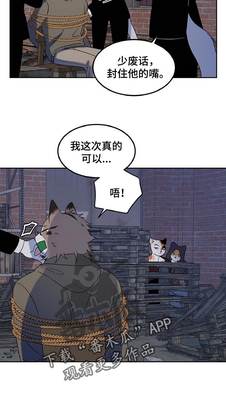 第37章：我很强的9