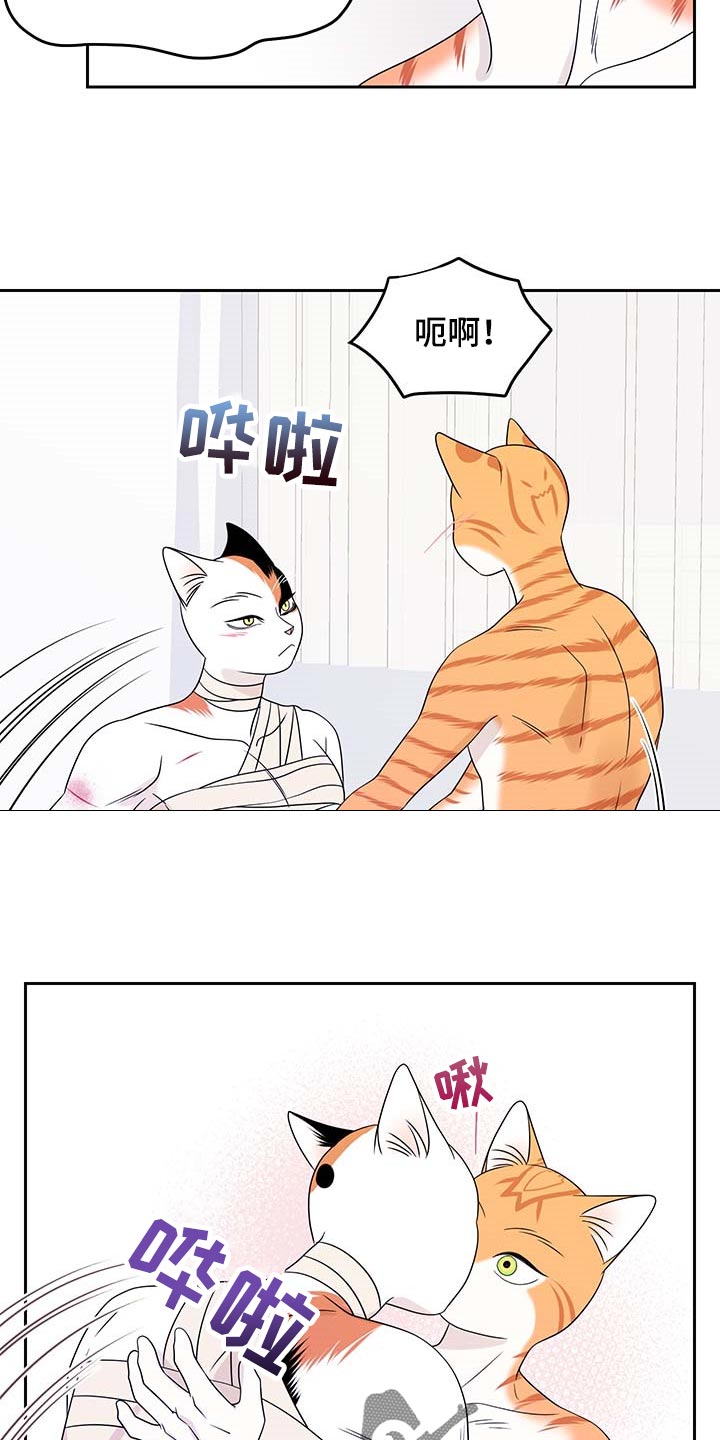 第47章：好好看着你1