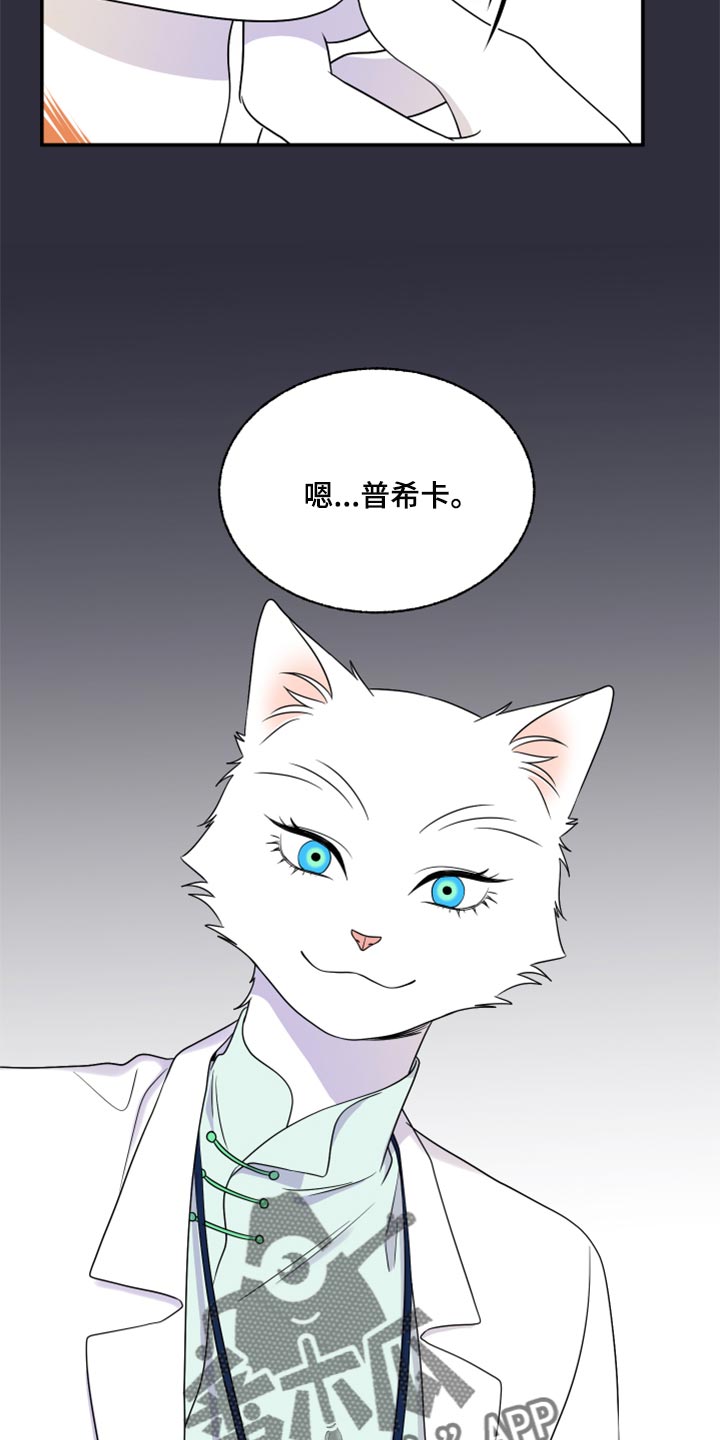 第52章：我的人生我做主（第一季完结）8