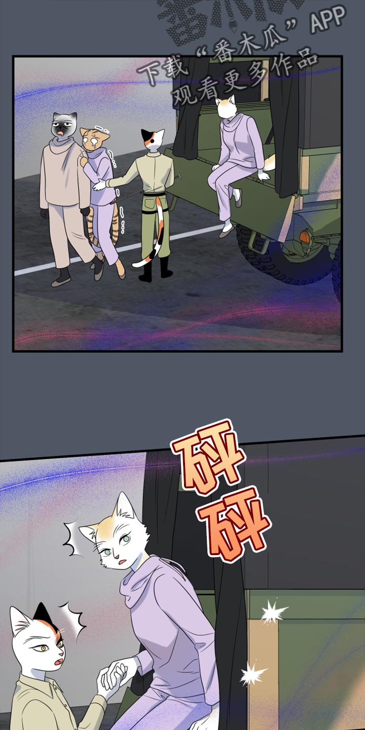 第81章：【第二季】中弹20