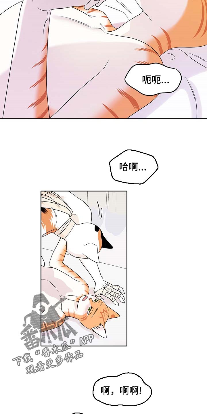 第47章：好好看着你8