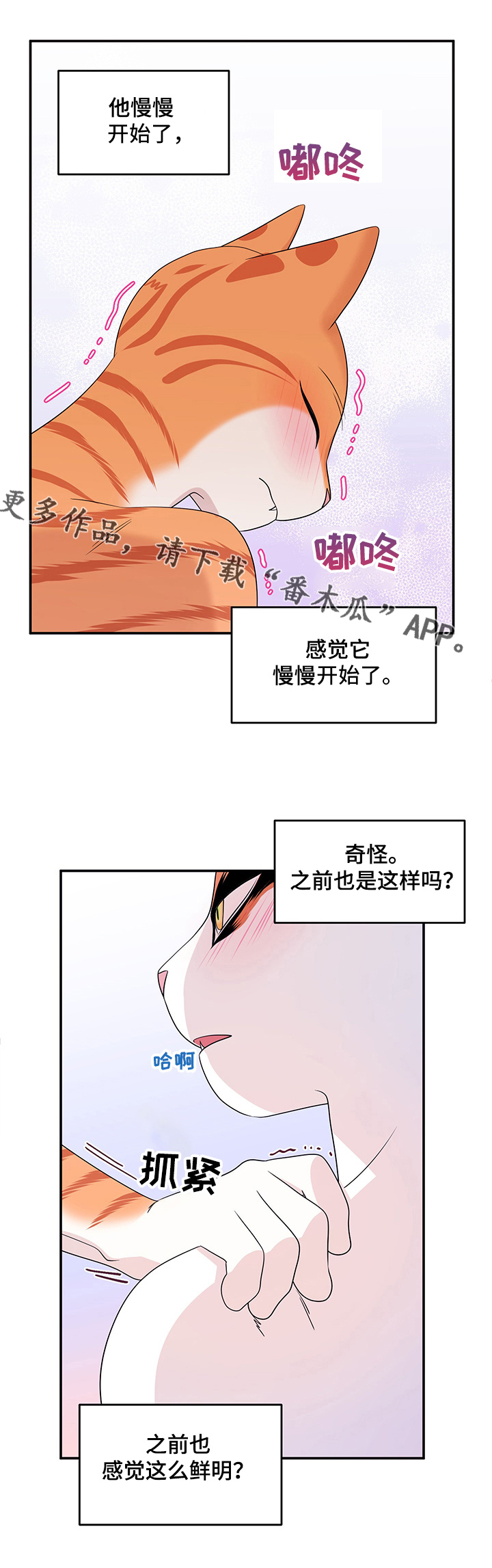 第13章：教我5