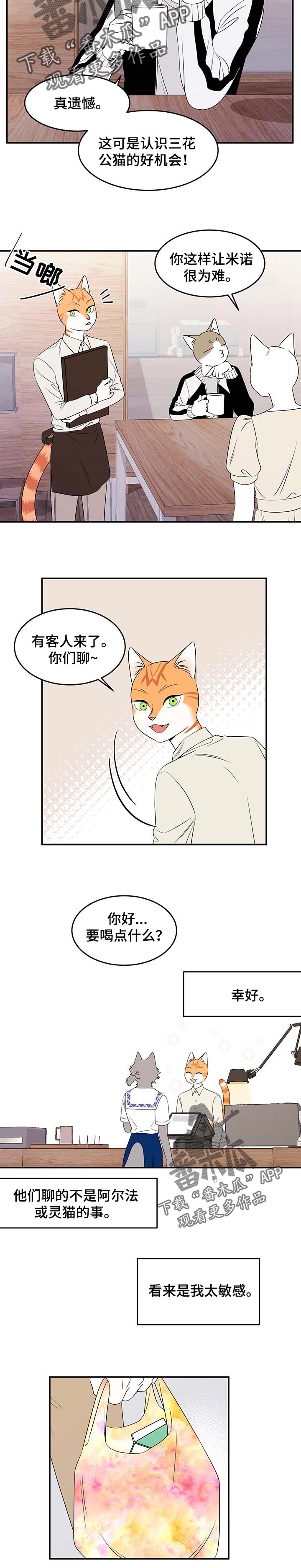 第25章：珍贵2