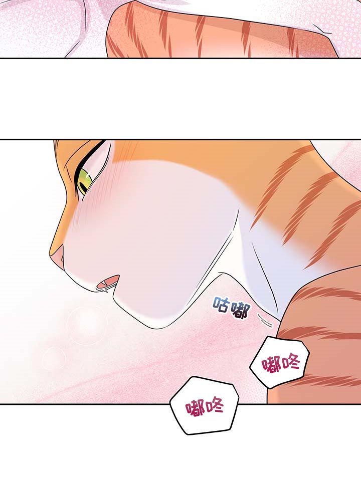 第46章：征服10