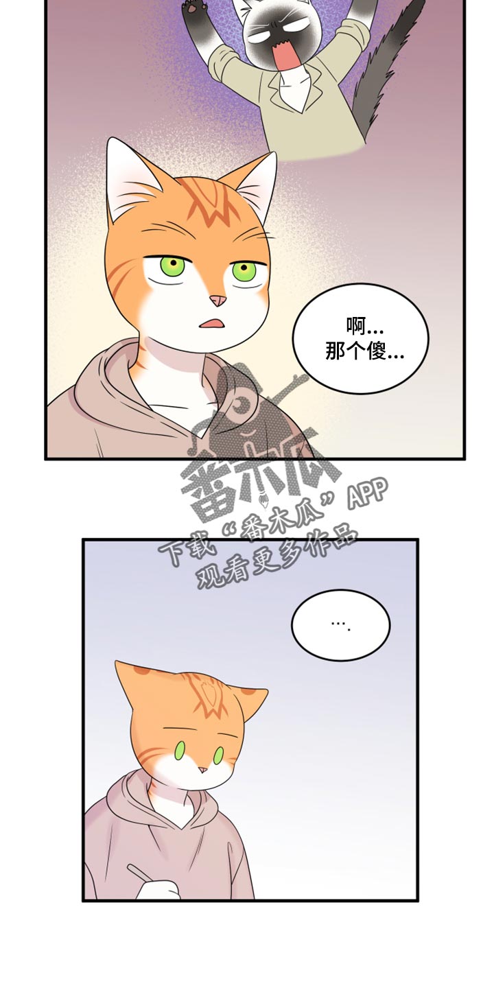 第73章：【第二季】绑架灵猫14