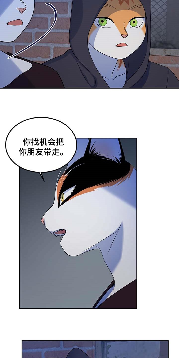 第37章：我很强的13