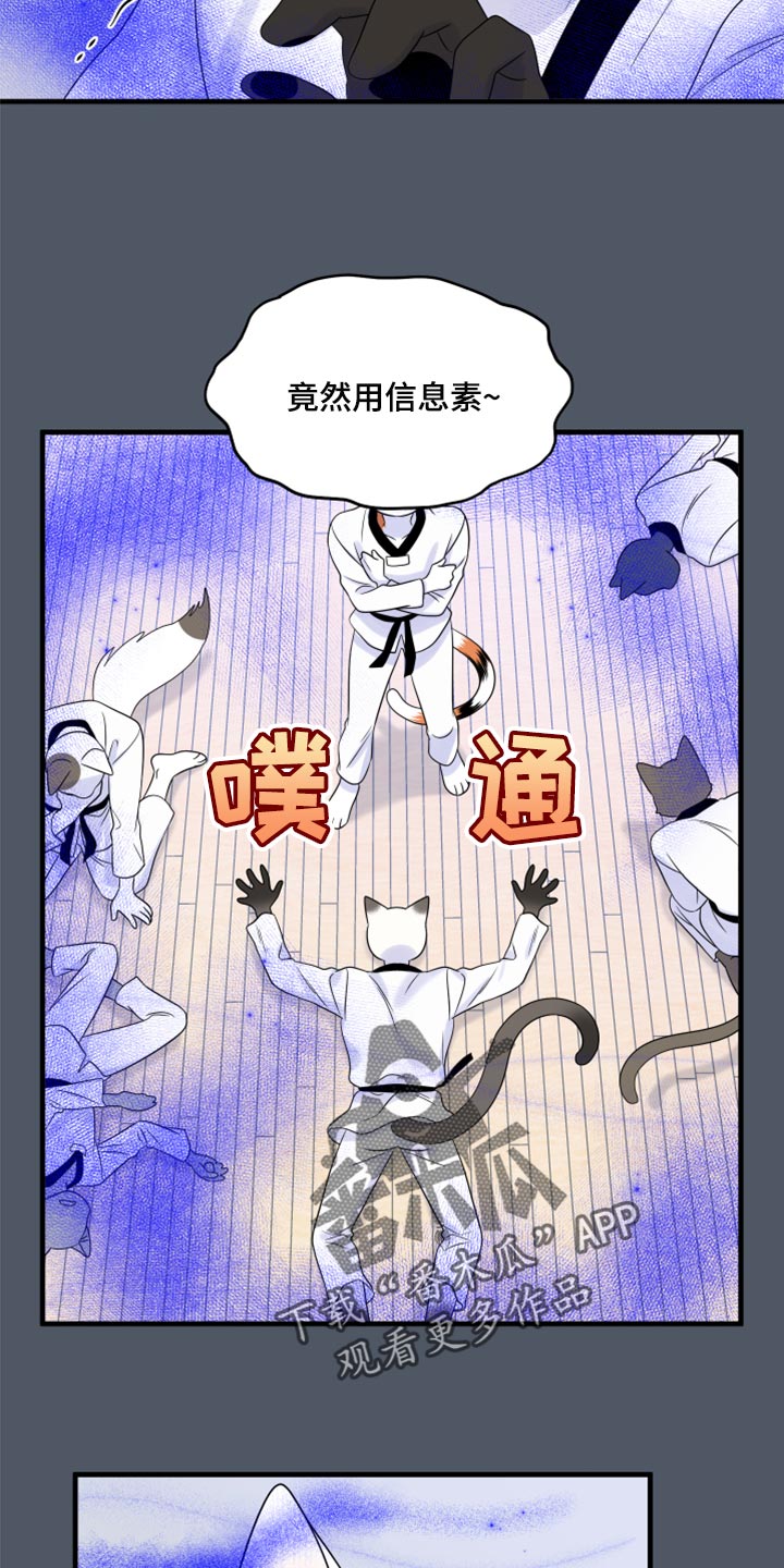 第76章：【第二季】有什么特别8