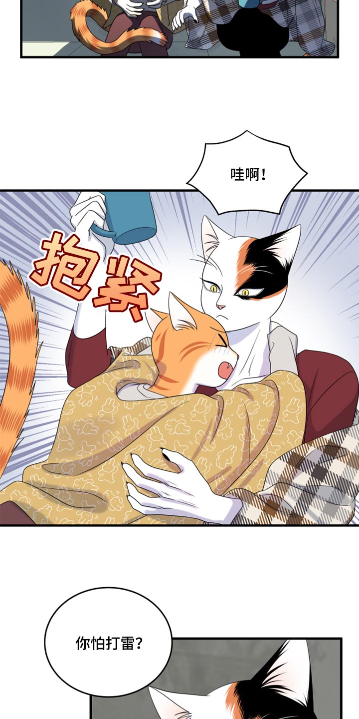 第89章：【第二季】乱七八糟4