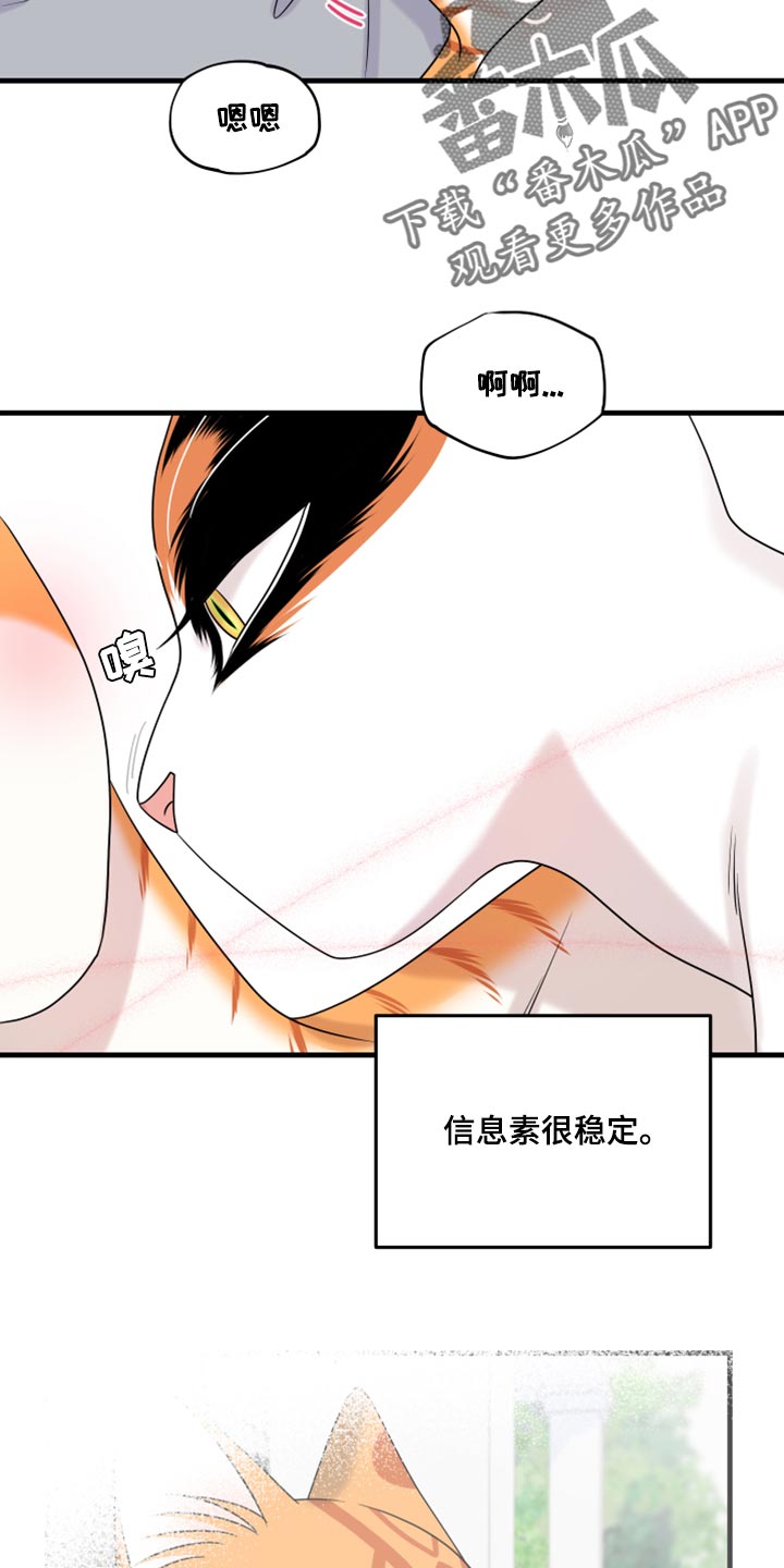 第91章：【第二季】暴走之前15