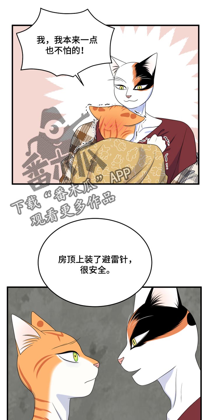 第89章：【第二季】乱七八糟6