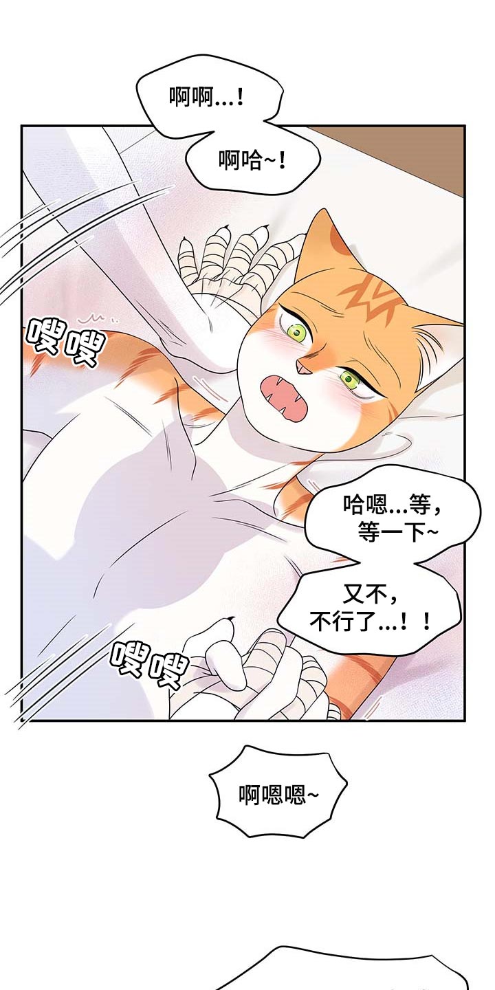 第47章：好好看着你10