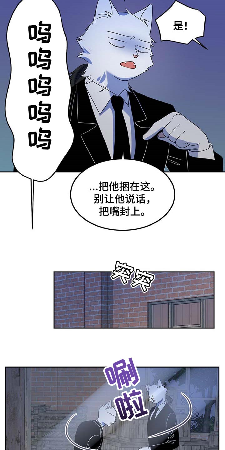 第37章：我很强的5