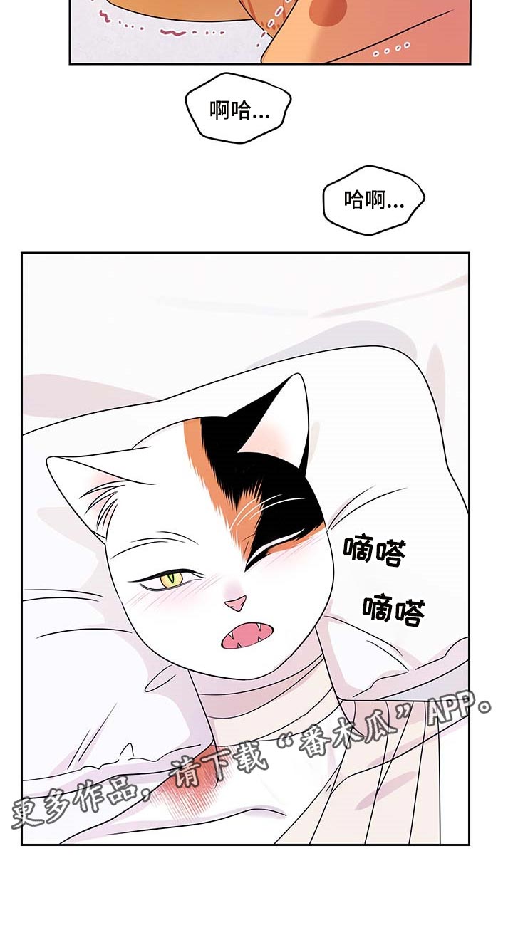 第46章：征服16
