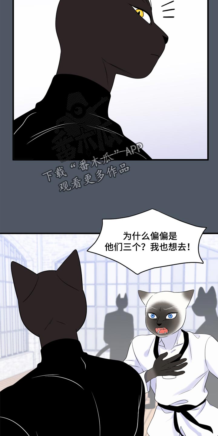第76章：【第二季】有什么特别20
