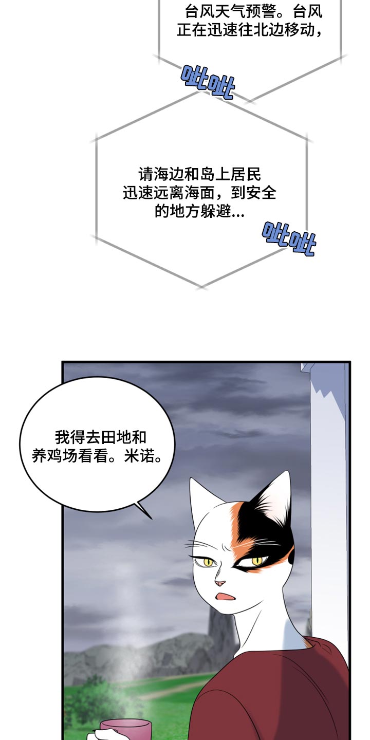 第88章：【第二季】台风2