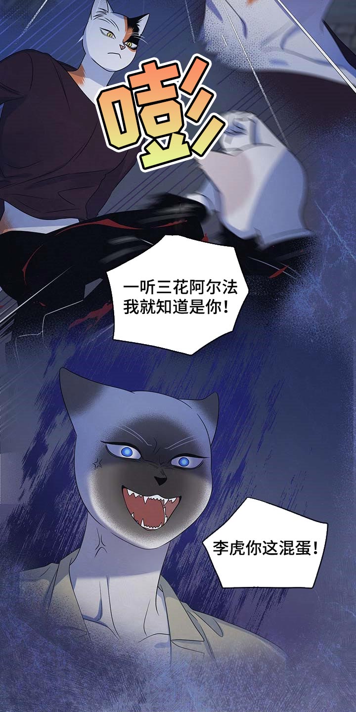 第41章：重新回到平静的生活8