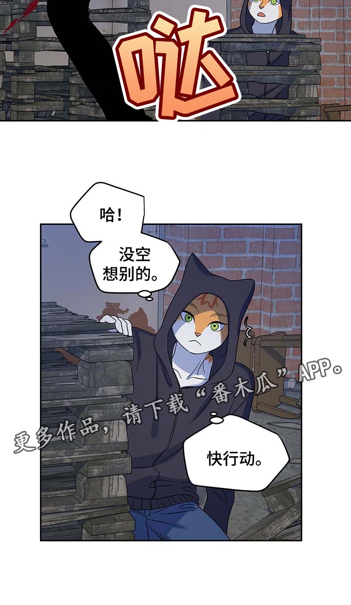 第37章：我很强的20