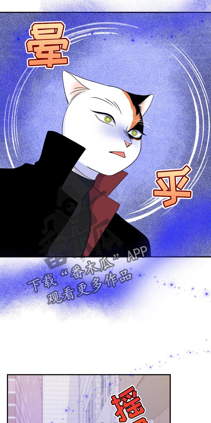 第50章：恶斗19