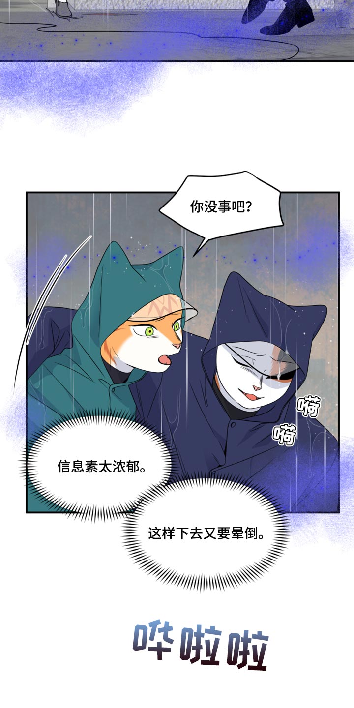 第53章：【第二季】逃跑之路6