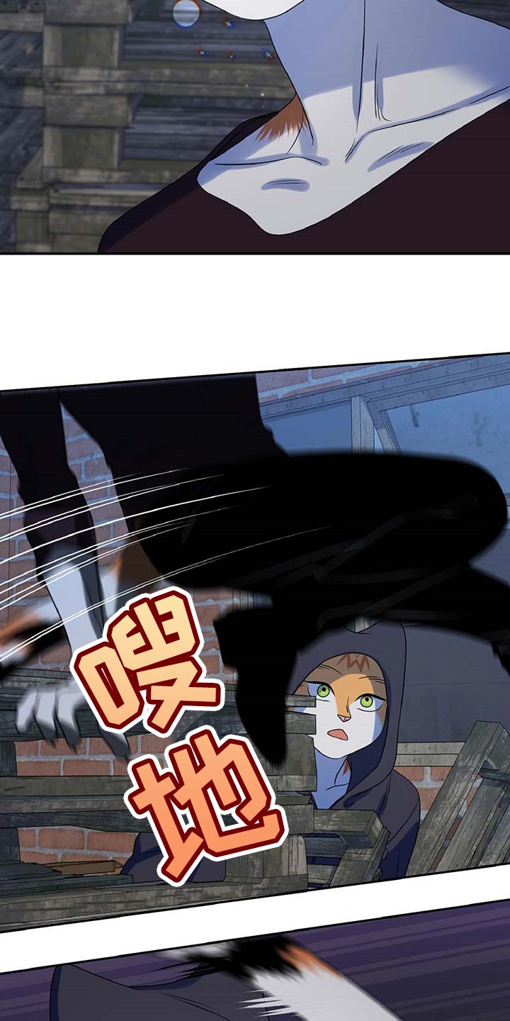 第37章：我很强的15