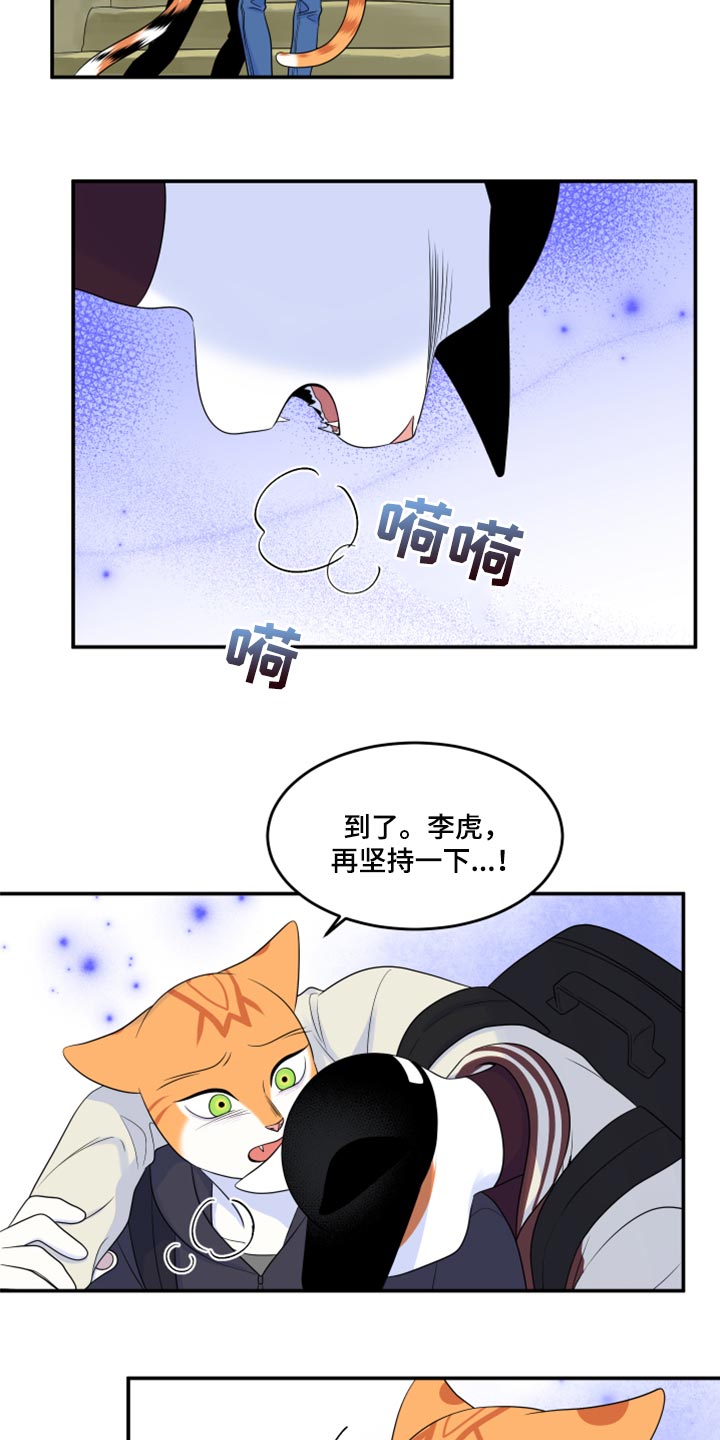 第60章：【第二季】失去理智17