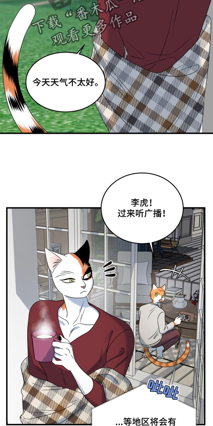 第88章：【第二季】台风1
