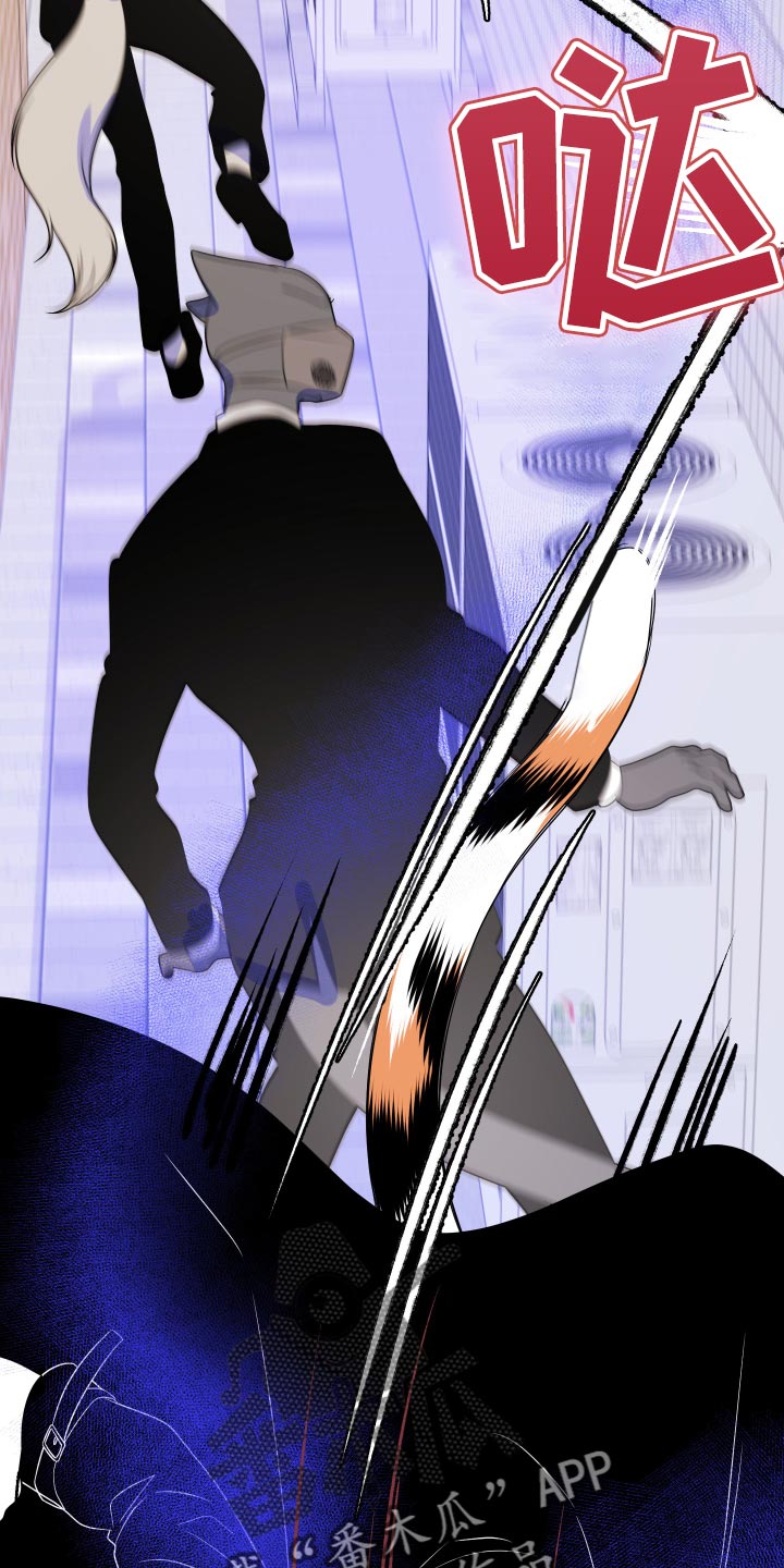第50章：恶斗5