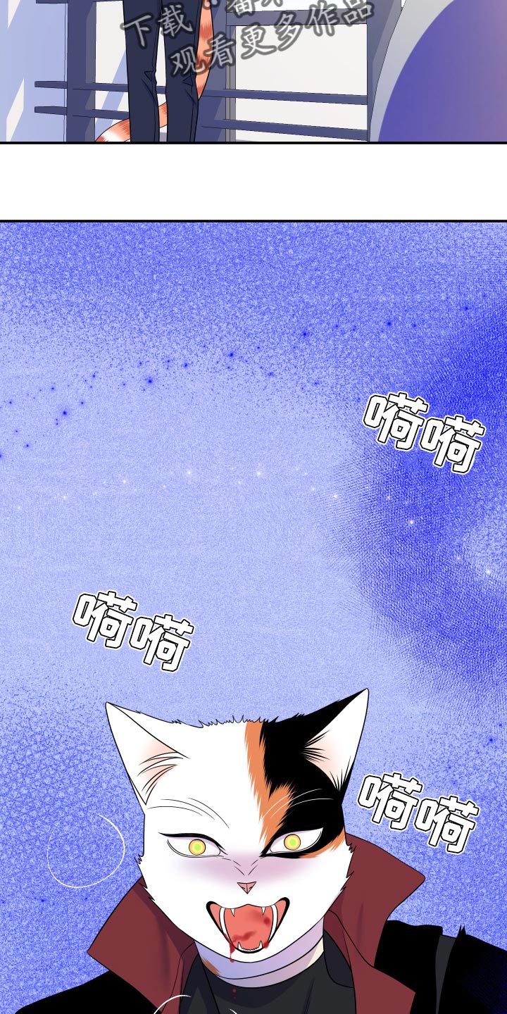 第50章：恶斗15