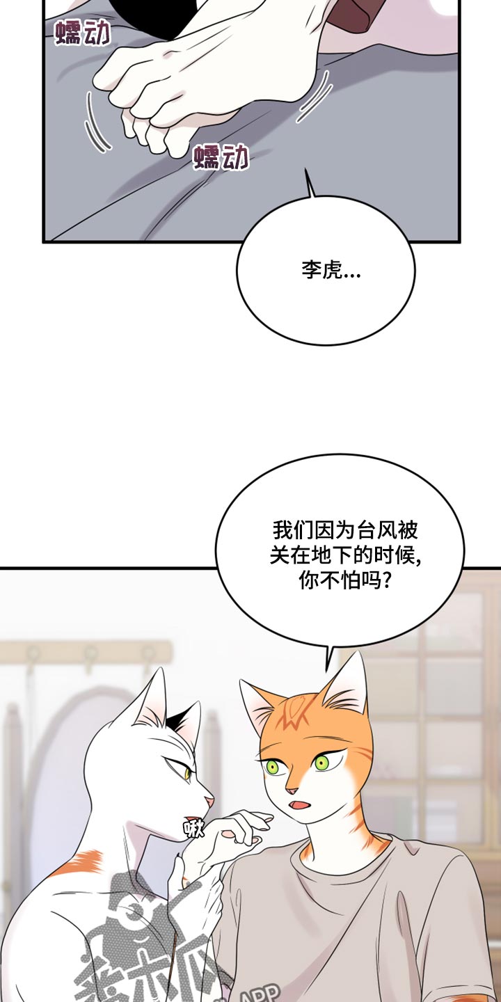 第91章：【第二季】暴走之前2