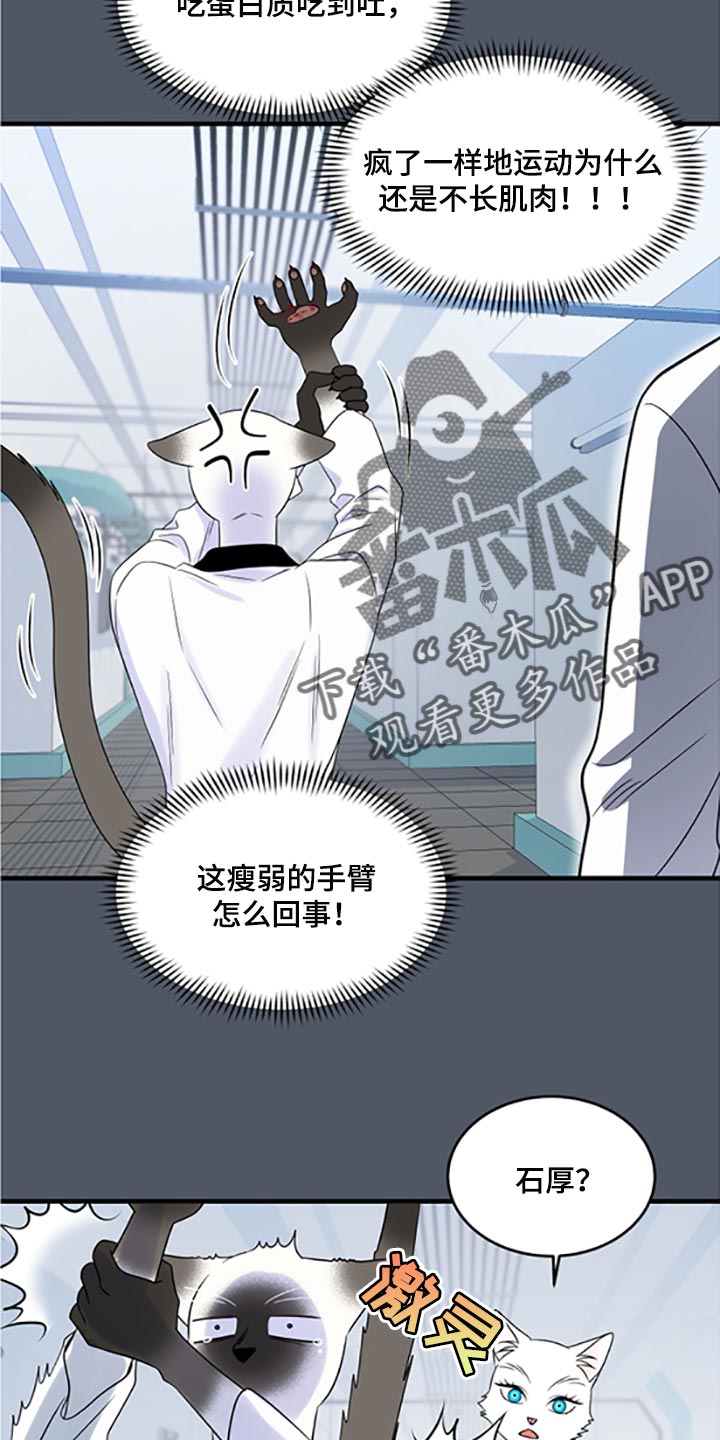 第77章：【第二季】一定要在一起！8