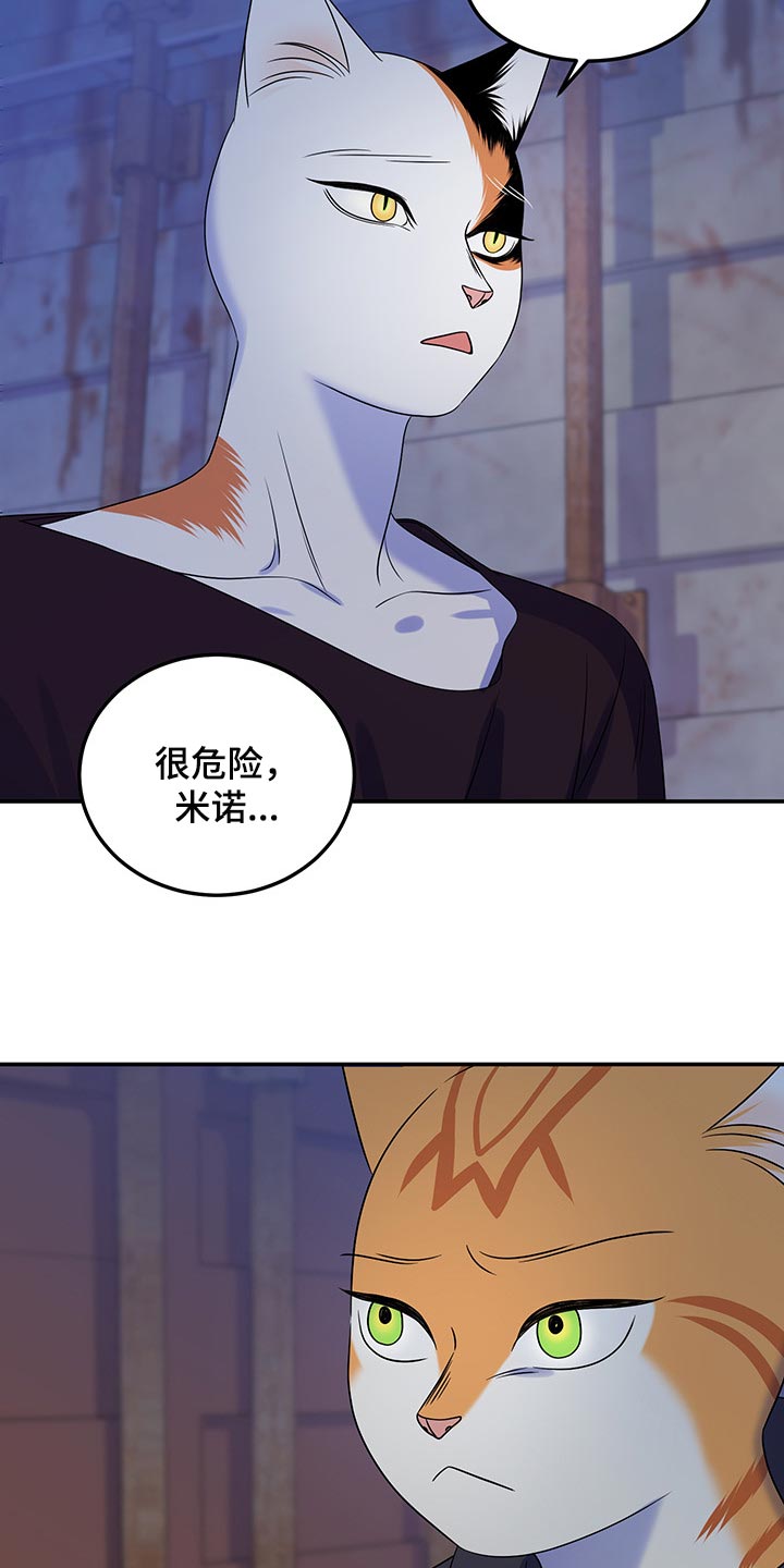 第35章：一个人很危险19